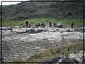 2011-04-16 B15-18-28海岸線沿途景觀.JPG